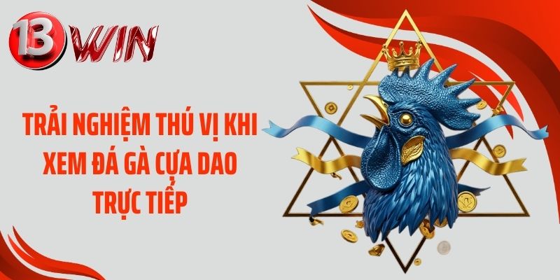 Sự sống động của hình thức đá gà cựa dao online